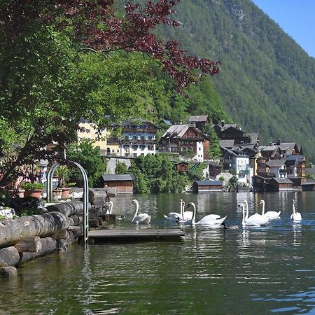 Gasthof Simony Hallstatt B&B Esterno foto